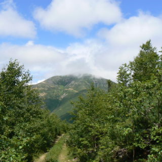 Гора Снежная